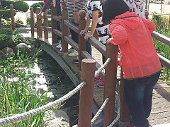 20141004_092748.jpg