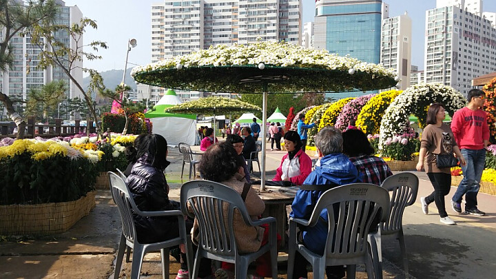 KakaoTalk_20141028_093048145.jpg
