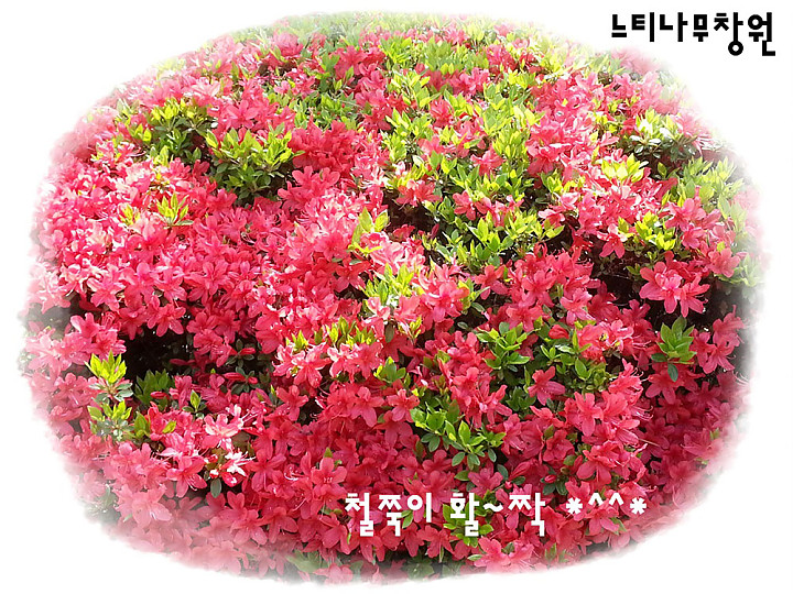 20150422_1009460.jpg