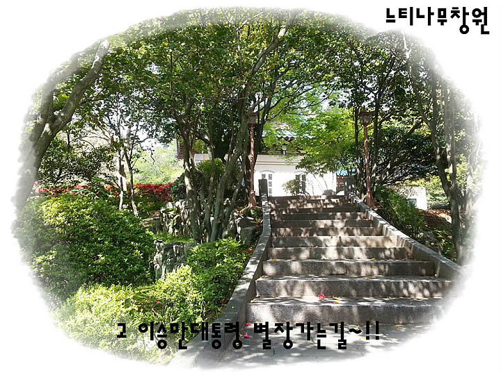 20150422_1010340.jpg