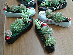 KakaoTalk_20170304_125601579.jpg