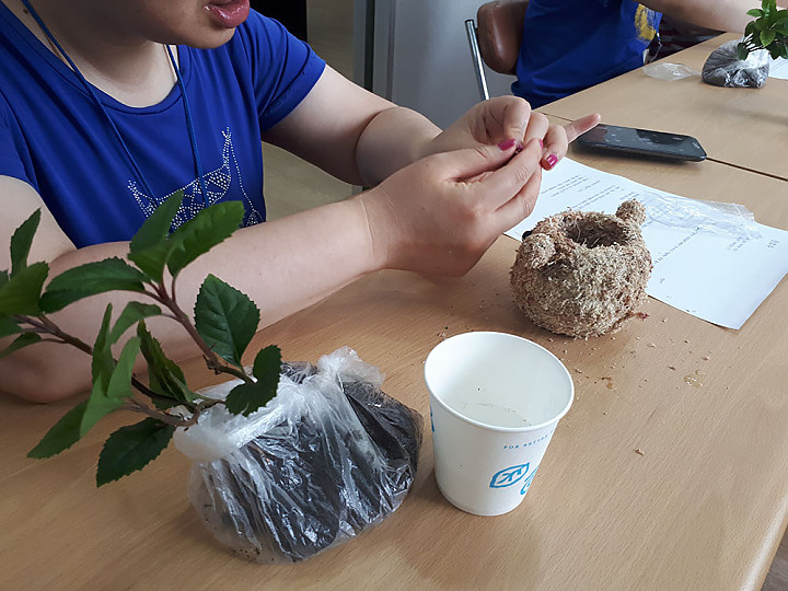 20180625_105322.jpg